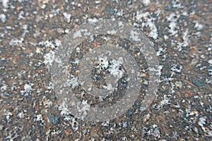 First snowflakes fallen on asphalt