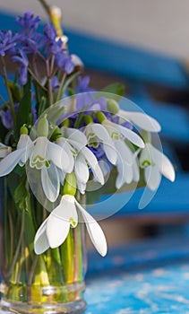 First spring flowers. White snowdrops and small blue flowers. Springtime concept. Small bouquet in vase. Romantic bouquet.