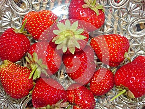 The first spring strawberries. Freshly harvested garden strawberry crop.