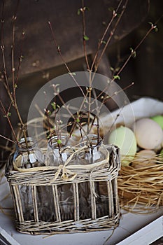 First spring twigs in bottles in basket with easter eggs on background