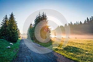 First sun rays break through the morning fog. Fantastic summer sunrise in Durmitor Nacionalni Park with old country road. Splendid