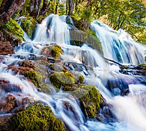 First sunlight lights up the pure water waterfall on Plitvice National Park. Colorful spring scene of green forest with blue lake.