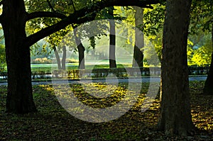 First sunrays at morning in Topcider park, Belgrade