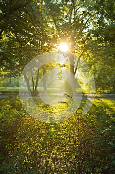 First sunrays at morning in Topcider park, Belgrade