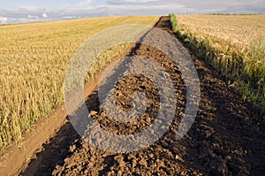 First tillage trench in the crop field