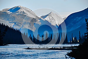 First to greet new day:  Rocky Mountains and coniferous trees