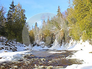 First touch of spring