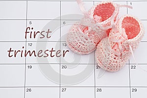 First Trimester message on a calendar with baby booties photo