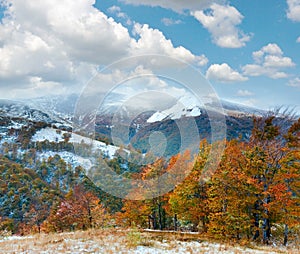 First winter snow and autumn colorful foliage on mountain