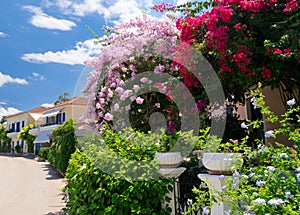 Fiscardo streets on Kefalonia