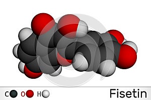 Fisetin molecule. It is plant flavonol from the flavonoid group of polyphenols. Molecular model