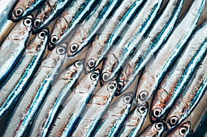 Fish abstract â€“ two rows of fish