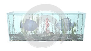 Fish in aquarium composition 3D illustration