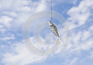Fish bait with hook against a blue summer sky. photo