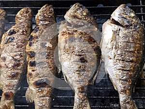 Fish barbecue