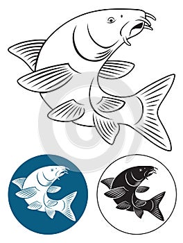 Fish barbel