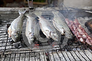 Fish on BBQ