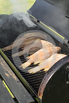 Fish on BBQ.