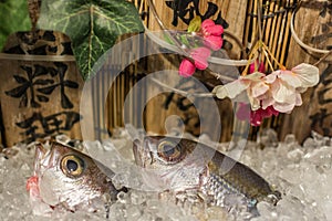 Fish being sold on a sea food stall, Naha, Okinawa, Japan