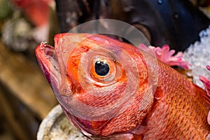 Fish being sold on a sea food stall, Naha, Okinawa, Japan