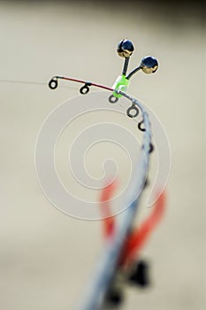 The fish are biting.