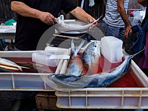 Fish in blood on fish market