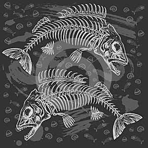 Fish bone drawing