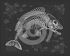 Fish bone drawing