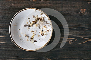 Fish bones on a single white plate. Top down flat photo with copy space