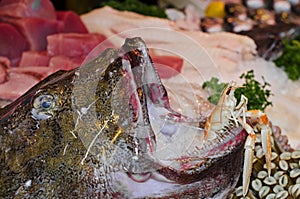 Fish at Borough Market