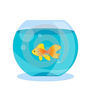 Fish bowl, aquarium or fish tank cartoon vector illustration