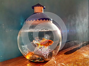 A fish bowl on the table in morning lights reflect very beautiful.