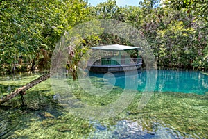 The Fish Bowl Underwater Observatory