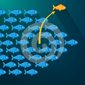 Fish break free from shoal. Entrepreneur concept