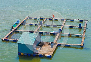 Fish breeding farm in the south of Vietnam