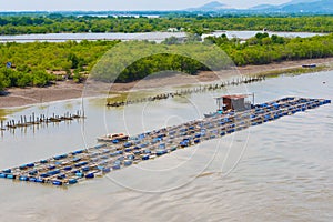 Fish breeding farm in southern Vietnam