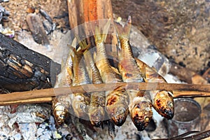 Fish burned
