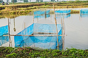 Fish cages in farm