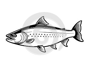 fish cartoon illustration. black and white
