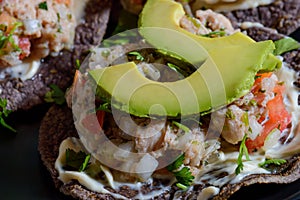 Fish Ceviche on Blue Corn Tostadas, Mexican Food