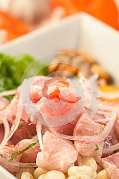 Fish Ceviche, a typical dish from Peru