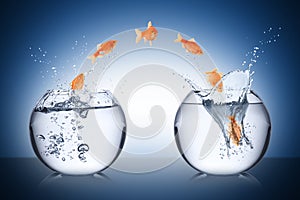 Fish change concept