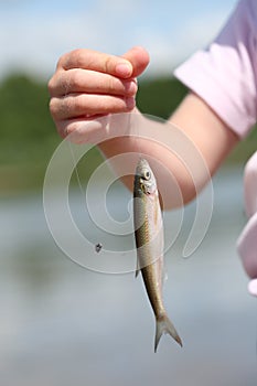 Fish in child hand