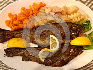 Fish and Chips with catfish steak in a fish restaurant - carda in Serbia photo
