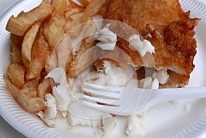 Fish and chips on plate