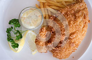 Fish and chips on white plate