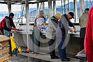 Fish Cleaning Station on the Docks, Seward, Alaska