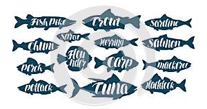 Fish, collection labels or logos. Seafood, food, fishing, angling set icons. Handwritten lettering, calligraphy vector