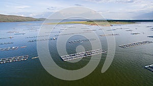 Aerial view ,fish coop, Fish cages ,Khonkean, Thailand photo