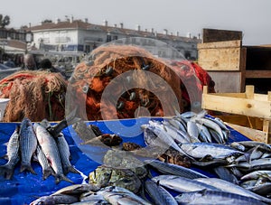 Fish counter set up in front of fishing nets